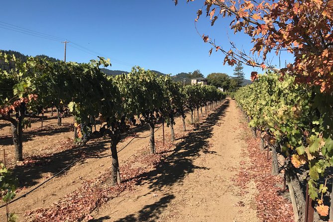 Small-Group Wine Country Tour from San Francisco with Tastings - Who should book this Sonoma day trip?