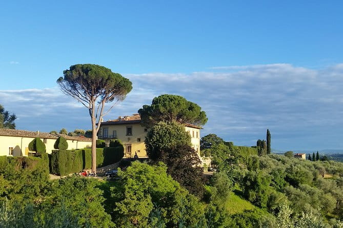 Small Group Wine Tasting in Tuscany with Vineyard Visit - Timing, weather, and practical details