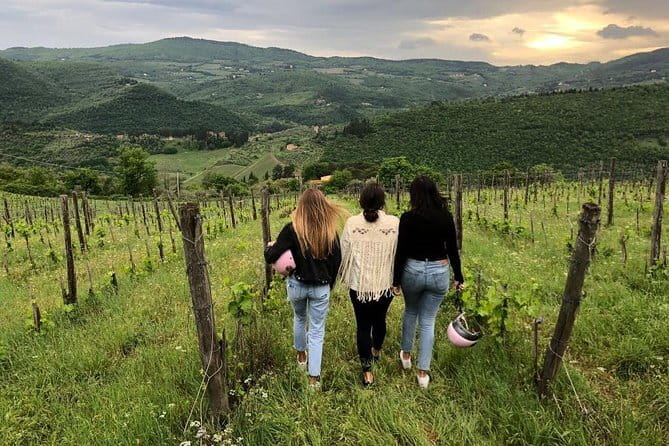 Small Group Wine Tasting in Tuscany with Vineyard Visit - Walking the vines at Fattoria San Pancrazio