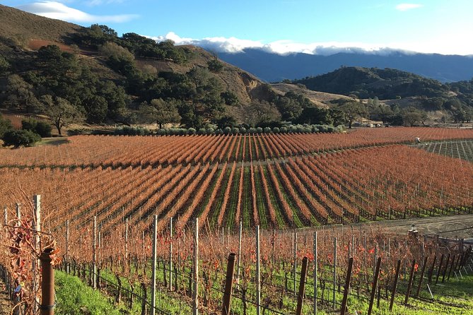 Small-Group Wine Tasting Tour of Santa Barbara Wine Country - What $235 buys you