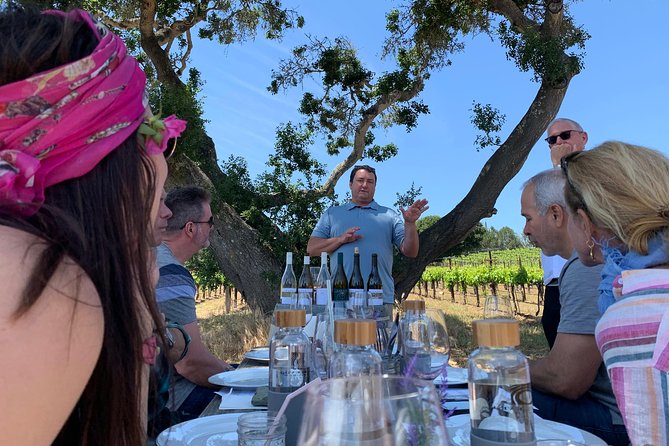 Small-Group Wine Tasting Tour of Santa Barbara Wine Country - Should you book this Santa Barbara wine tour?