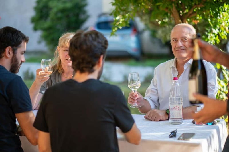 Soave: Wine Tasting and Vineyard Tour in Historical Centre - From fermentation tanks to the barrel cellar