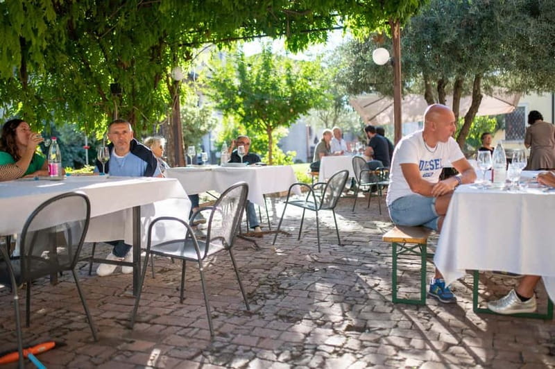 Soave: Wine Tasting and Vineyard Tour in Historical Centre - The Soave tasting: three wines, possibly more