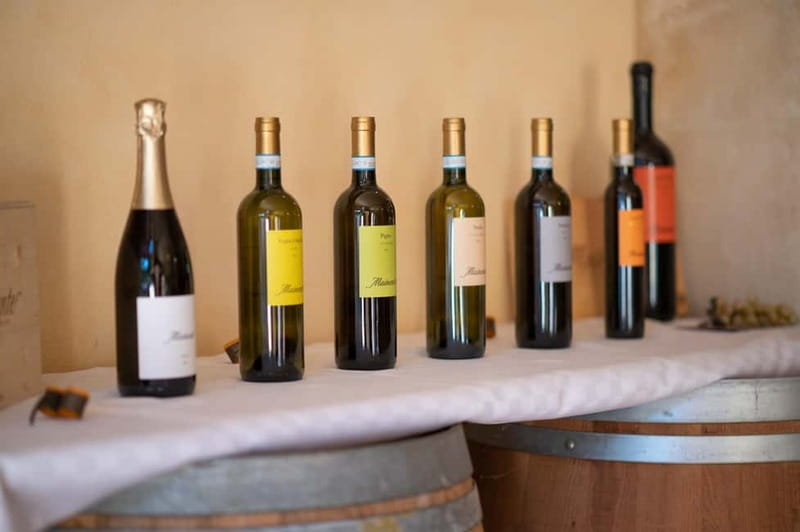 Soave: Wine Tasting and Vineyard Tour in Historical Centre - Price, timing, and practical details