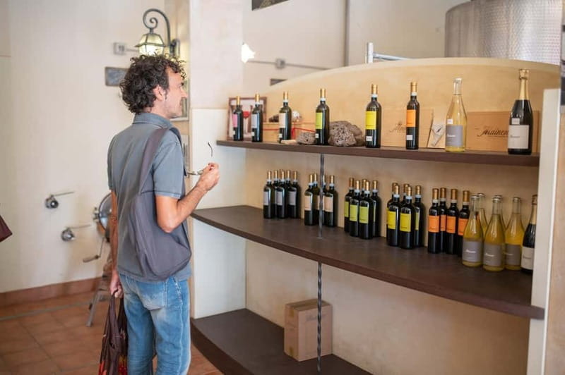 Soave: Wine Tasting and Vineyard Tour in Historical Centre - Who will enjoy this Soave visit most