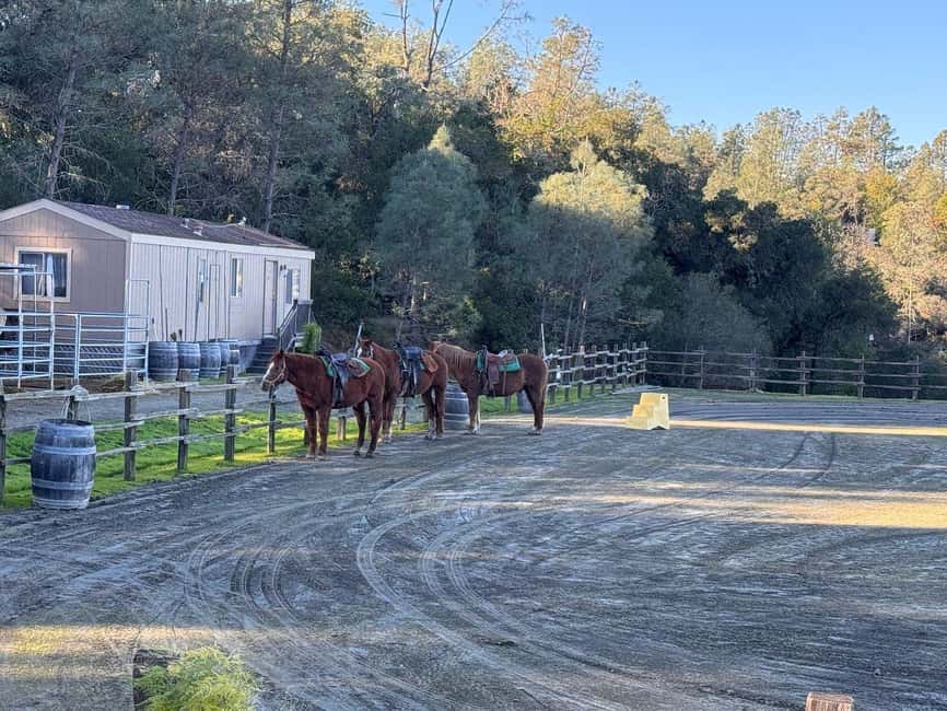 Sonoma County: Wine Country Horseback Riding Adventure - Key points at a glance