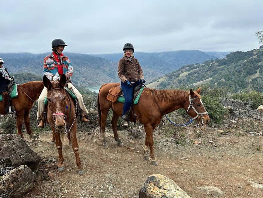 Sonoma County: Wine Country Horseback Riding Adventure - Why this ride feels different from a vineyard stop