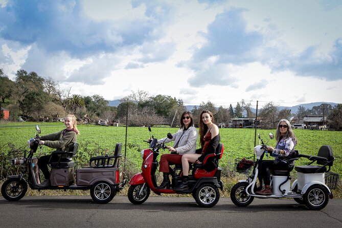 Sonoma Wine Country Electric Trike Tour - 3 hours - Key points to know before you book