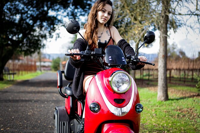 Sonoma Wine Country Electric Trike Tour - 3 hours - Wine at Three Fat Guys or another local winery