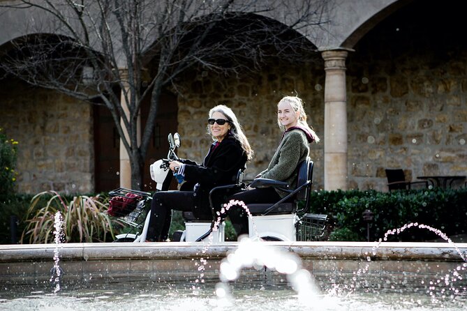 Sonoma Wine Country Electric Trike Tour - 3 hours - Guides make the difference