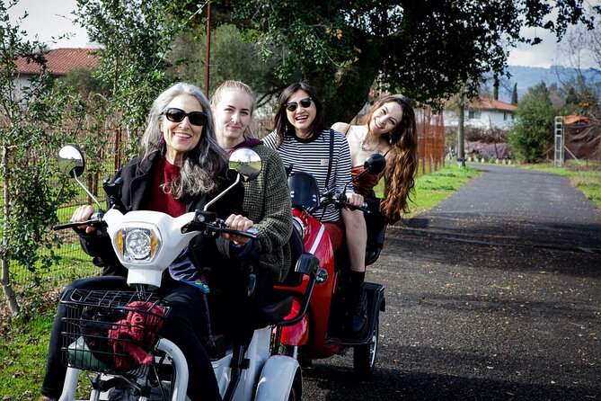 Sonoma Wine Country Electric Trike Tour - 3 hours - Rolling through vineyards and country roads
