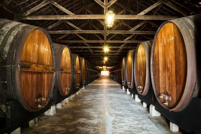 South Portugal Wine Route Private Full Day Tour from Lisbon - Key points to know before booking