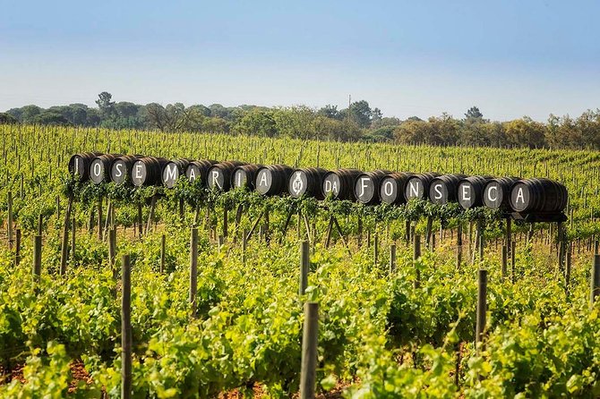 South Portugal Wine Route Private Full Day Tour from Lisbon - Reaching Évora and the Cartuxa tasting