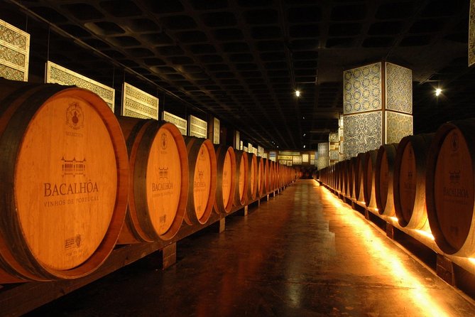 South Portugal Wine Route Private Full Day Tour from Lisbon - What the private format is really worth