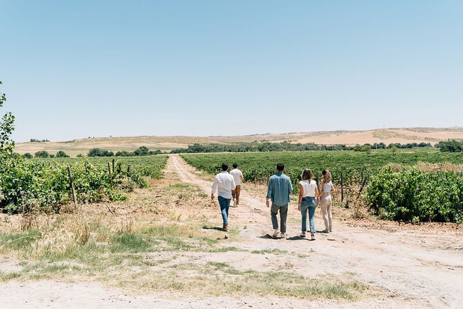 Spanish Villages & Winery Visit with Wine Tasting and Tapas Lunch - Who will enjoy this experience most