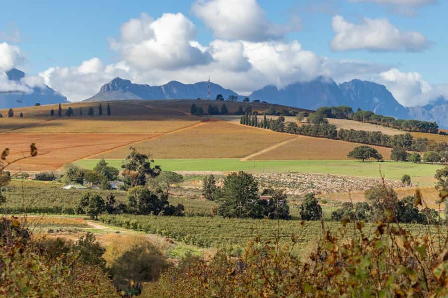 Stellenbosch: Devon Valley Vineyards Bicycle Tour w. Lunch - Key points at a glance