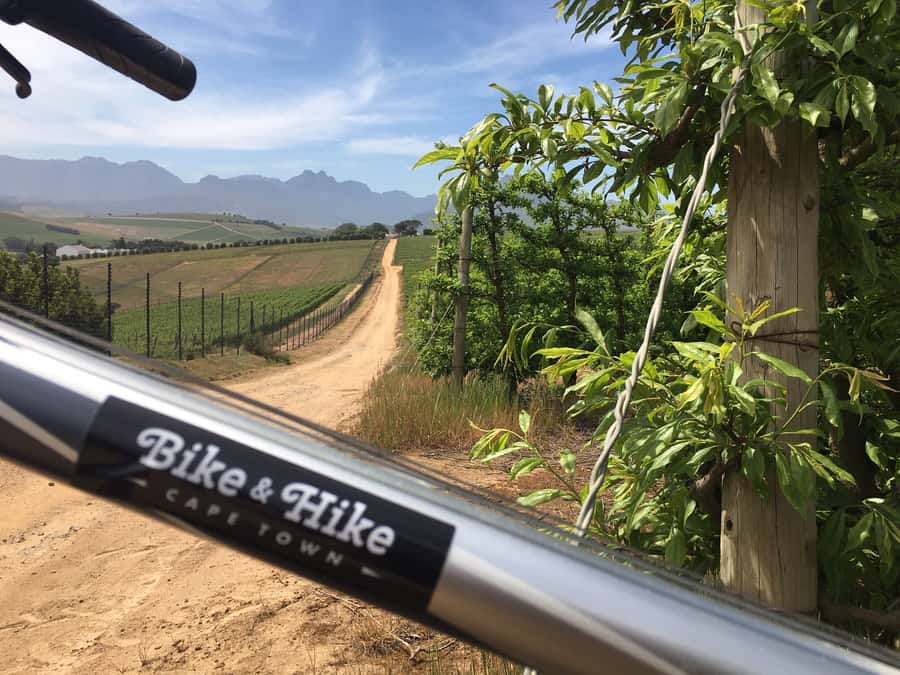 Stellenbosch: Devon Valley Vineyards Bicycle Tour w. Lunch - Why Devon Valley works so well by bicycle