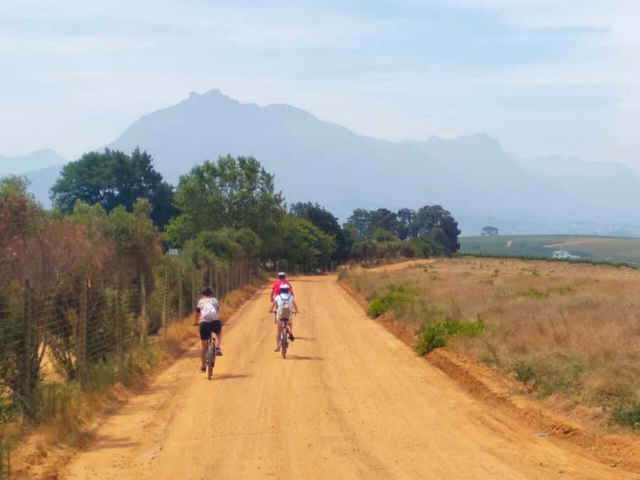 Stellenbosch: Devon Valley Vineyards Bicycle Tour w. Lunch - Pickup from Cape Town or Stellenbosch