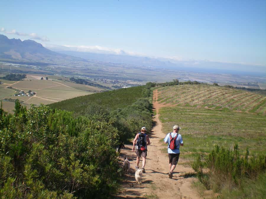 Stellenbosch: Guided Vineyard Hike and Wine Tasting - Walking Into the Banhoek Valley