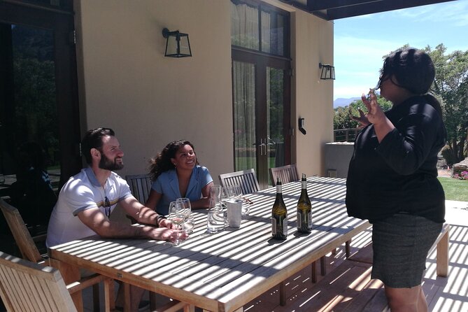 Stellenbosch Vineyard Walk & Wine Tasting - Why this walk feels different from a standard wine tour