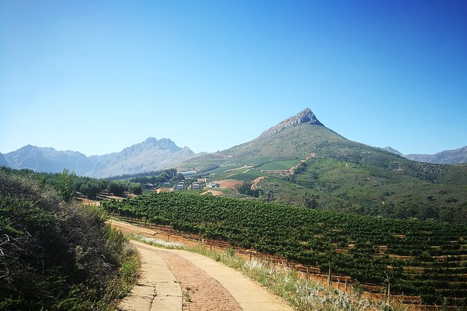 Stellenbosch Vineyard Walk & Wine Tasting - Walking from Zorgvliet toward Tokara