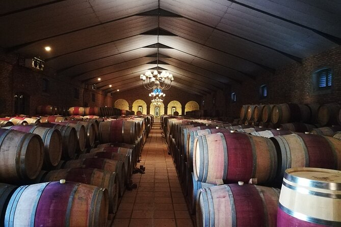 Stellenbosch Vineyard Walk & Wine Tasting - Who will enjoy this Stellenbosch outing most