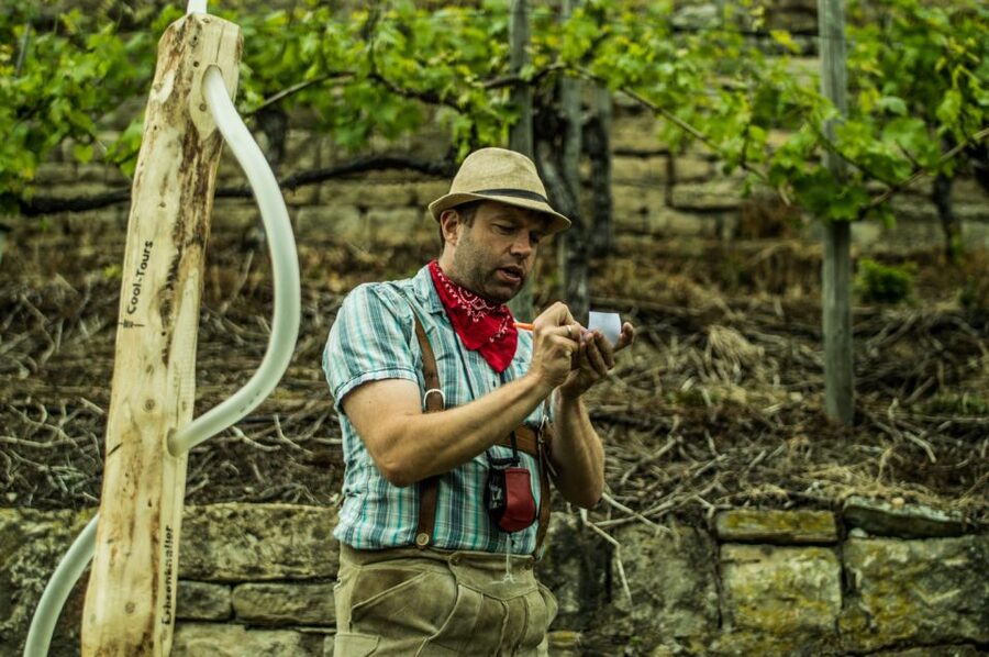 Stuttgart: Guided Vineyards Tour - A vineyard walk above Stuttgart, not a standard tasting room