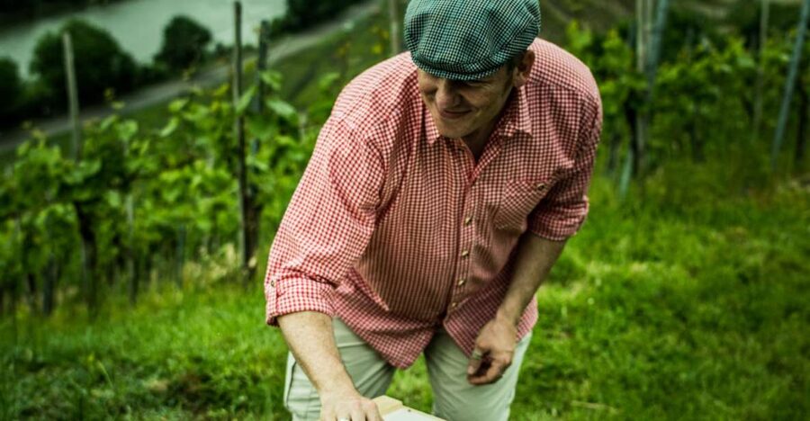 Stuttgart: Guided Vineyards Tour - How the 210 minutes are likely to feel