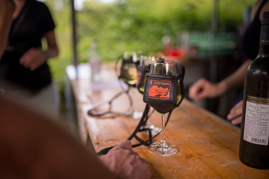 Stuttgart: Guided Vineyards Tour - Understanding the $800 group price