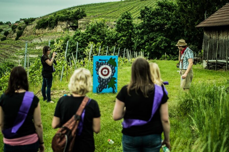 Stuttgart: Guided Vineyards Tour - Who will enjoy this Stuttgart wine outing