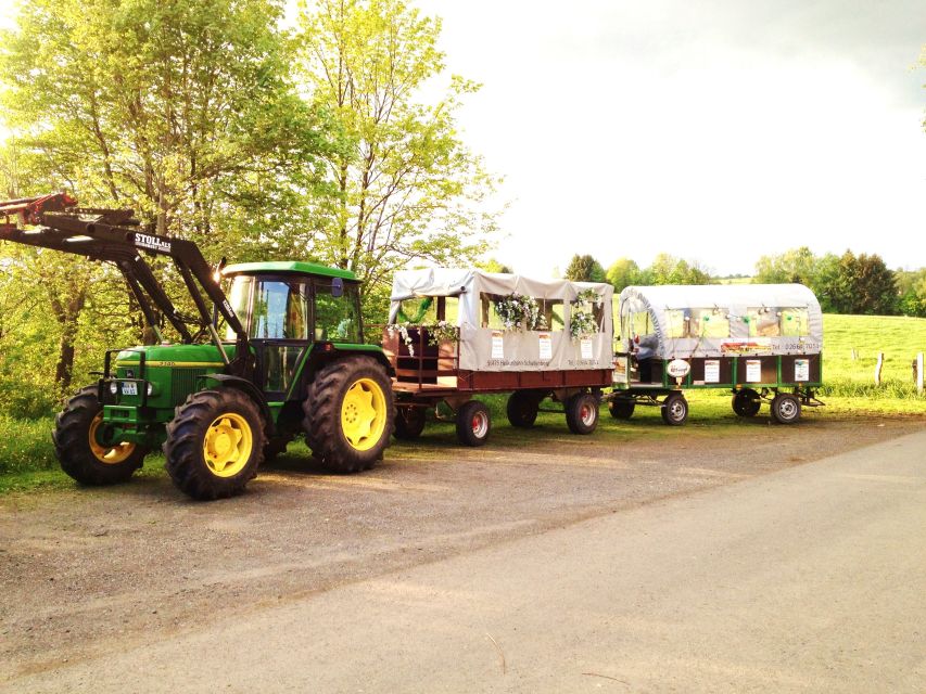 Stuttgart: Vineyard Tour by Covered Wagon - Key points to know before booking