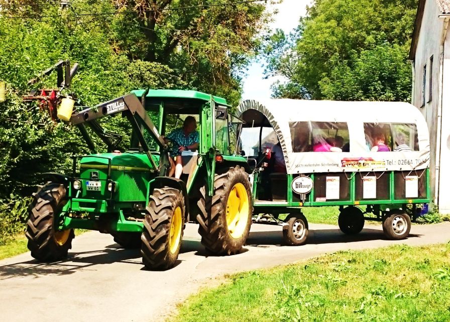 Stuttgart: Vineyard Tour by Covered Wagon - Practical details that affect the day