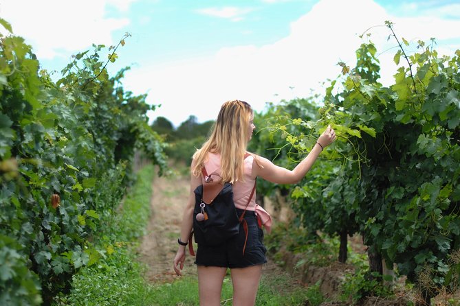 Sula Vineyards Day tour from either Mumbai OR Nashik - Key points to know before you book
