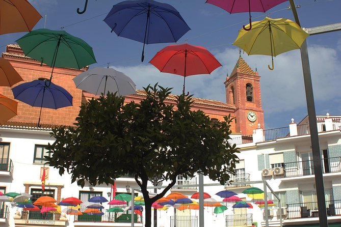 Sun and Wine Route - Small group, wine tasting and tapas included - What the tapas lunch adds