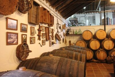 Sun and Wine Route – Small group, wine tasting and tapas included