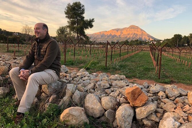 Sunset among Vineyards with Tasting in Alicante (min 6-12 people) - A young vineyard with a long view