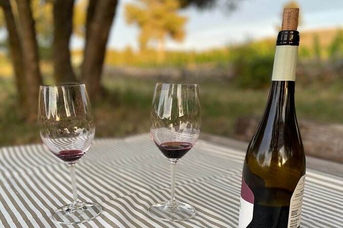 Sunset among Vineyards with Tasting in Alicante (min 6-12 people) - Why the early stage can be part of the appeal