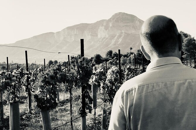 Sunset among Vineyards with Tasting in Alicante (min 6-12 people) - Group size, pace, and comfort