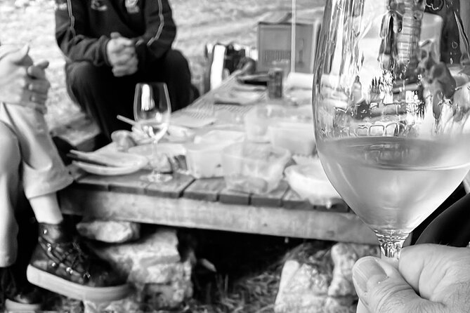 Sunset among Vineyards with Tasting in Alicante (min 6-12 people) - The practical value of the $46.26 price