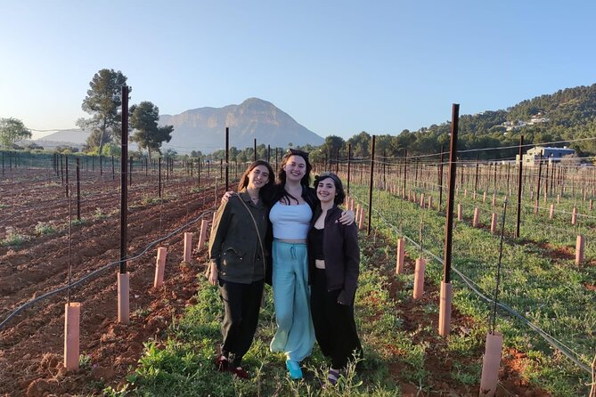 Sunset among Vineyards with Tasting in Alicante (min 6-12 people) - Francisco’s explanation of climate, soil, and wine culture