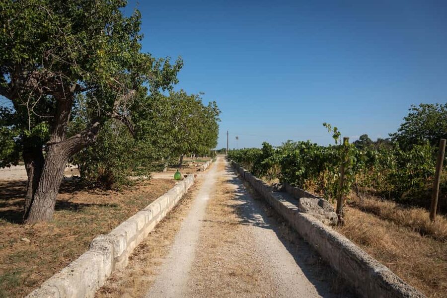 Sunset Escape in Lecce: Vineyard Picnic with Wine Tasting - What comes in the picnic basket
