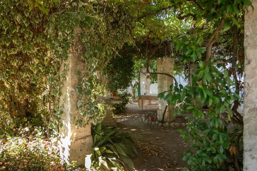 Sunset Escape in Lecce: Vineyard Picnic with Wine Tasting - How the guides shape the evening