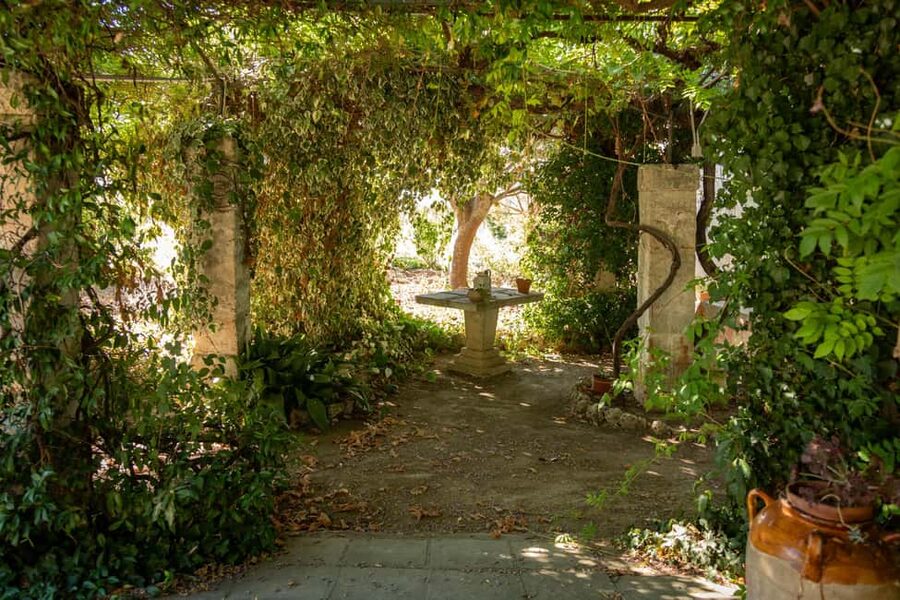 Sunset Escape in Lecce: Vineyard Picnic with Wine Tasting - Who will enjoy this most?