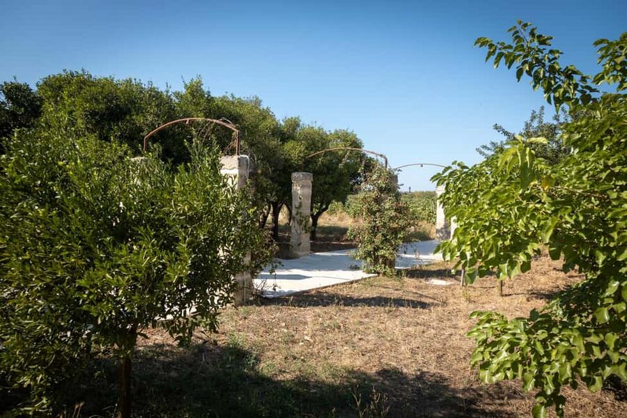 Sunset Escape in Lecce: Vineyard Picnic with Wine Tasting - Practical details that matter
