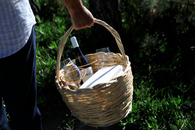 Sunset picnic in the vineyard - Choosing between the four estate wines