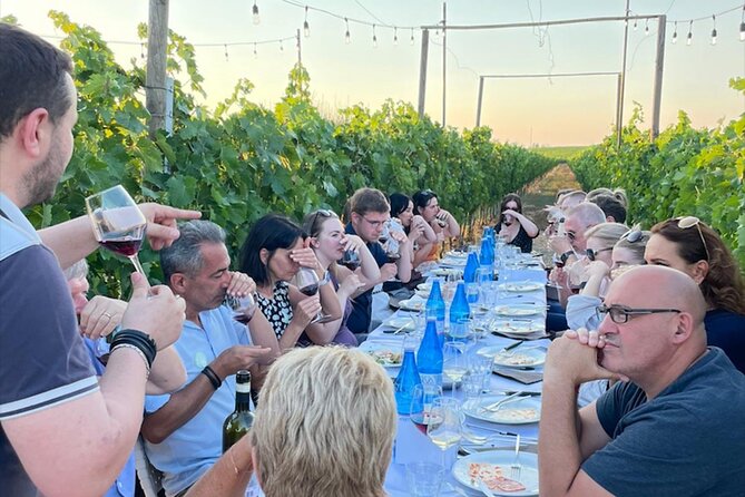 Sunset Summer Dinner Among the Vines – Small Group from Siena - A sunset dinner between the Chianti vines