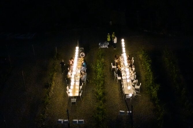Sunset Summer Dinner Among the Vines – Small Group from Siena - Wine, balsamic, and the value of the tasting