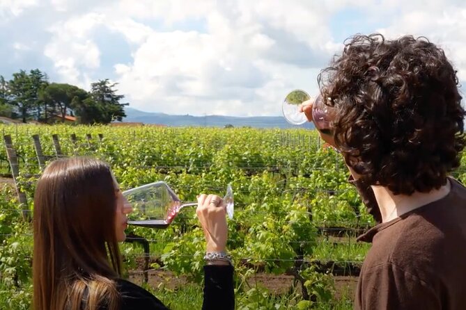 Sunset Summer Dinner Among the Vines – Small Group from Siena - Transport from Siena needs extra care