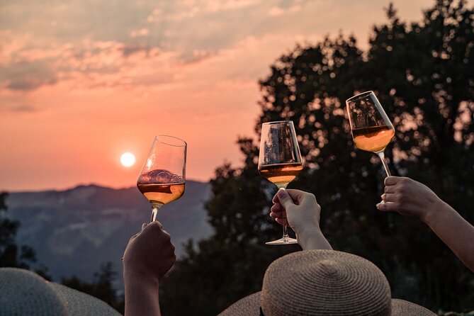 Sunset wine tasting in vineyard - Key points to know before booking