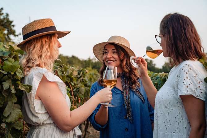 Sunset wine tasting in vineyard - A small vineyard with a personal story